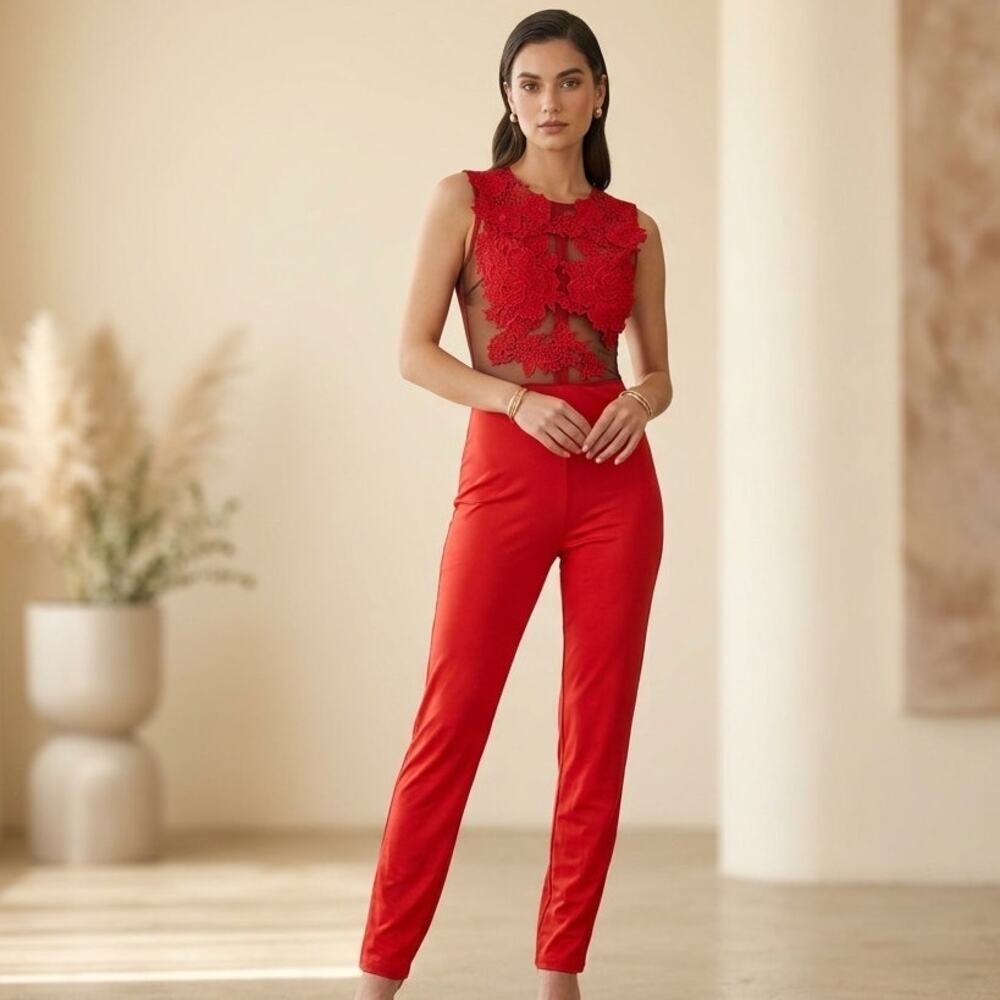 Red Jumpsuit Sheer Mesh Medium